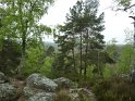 2012-05-03 10-48-09 Poigny la Foret CGn